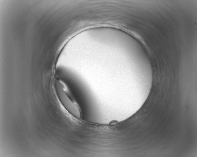 X0000078871524200612041945