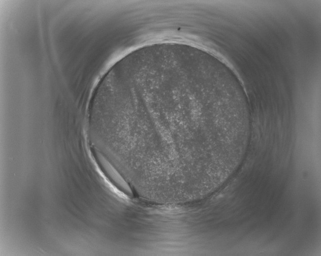 X0000078871525200612041945