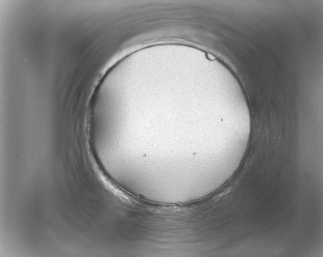 X0000078871526200612041945