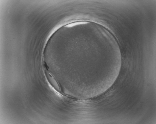 X0000078871527200612041945