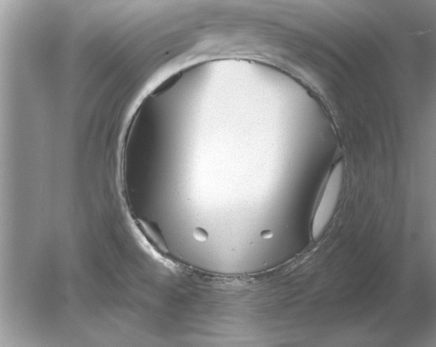 X0000078871528200612041945