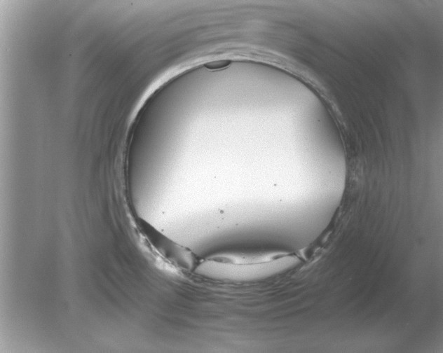 X0000078871530200612041945