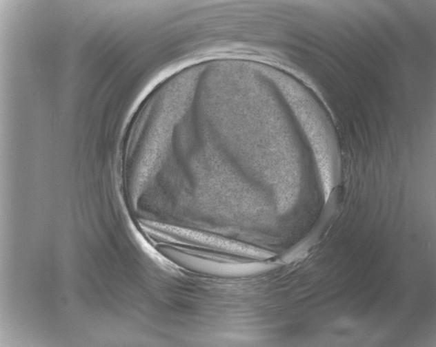 X0000078871531200612041945