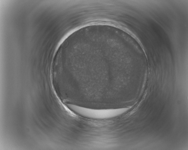 X0000078871533200612041945