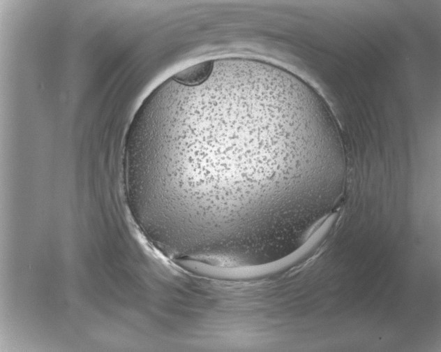 X0000078871534200612041945