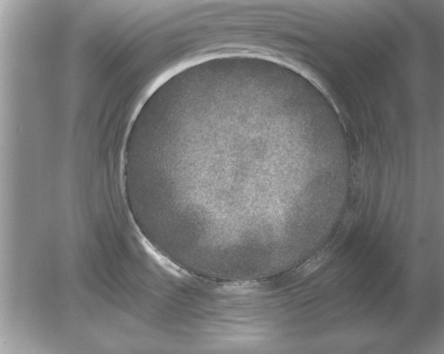 X0000078871535200612041945