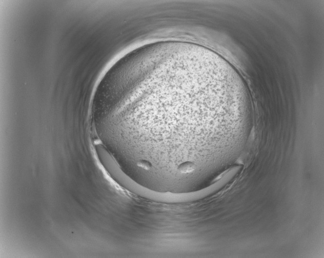 X0000078871536200612041945