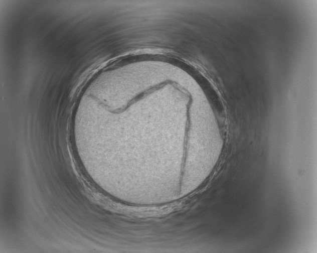 X0000078870001200612111725