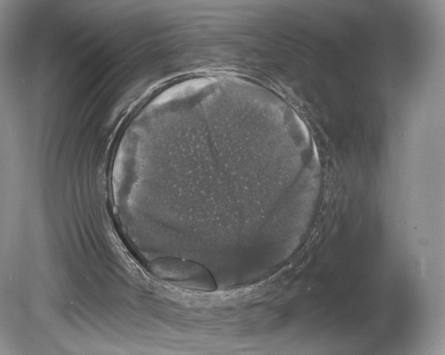 X0000078870002200612111725