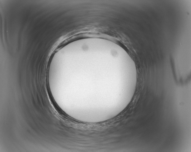 X0000078870003200612111725