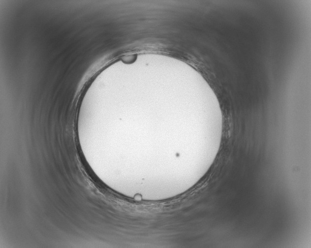 X0000078870004200612111725