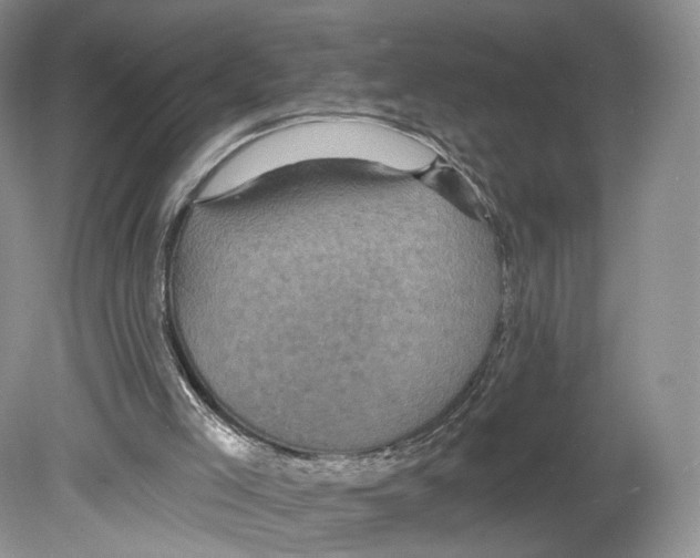 X0000078870005200612111725