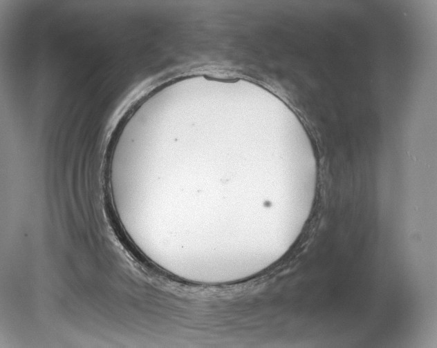 X0000078870007200612111725