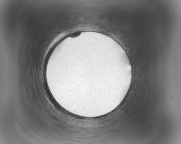 X0000078870008200612111725