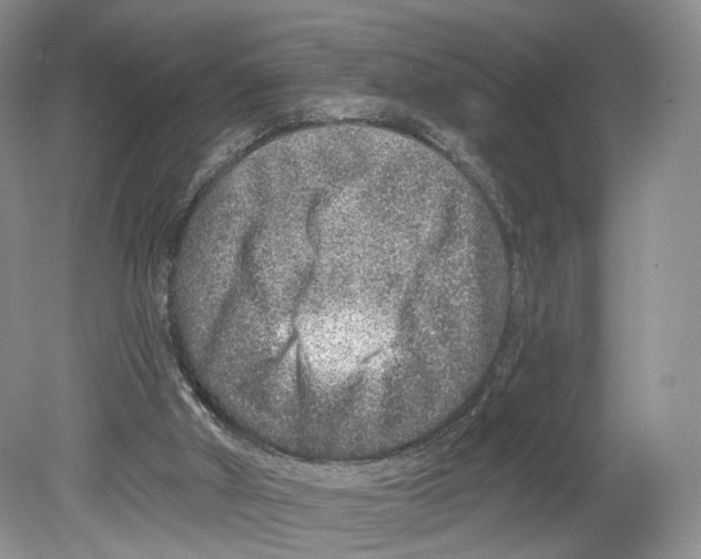 X0000078870010200612111725