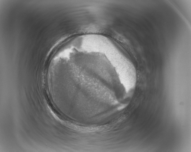 X0000078870012200612111725