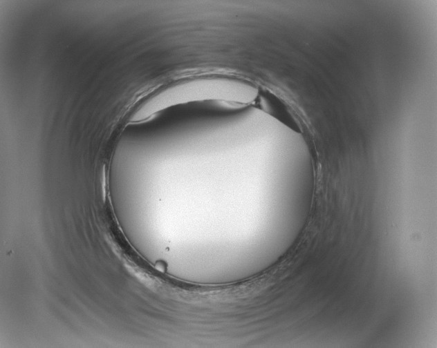 X0000078870013200612111725