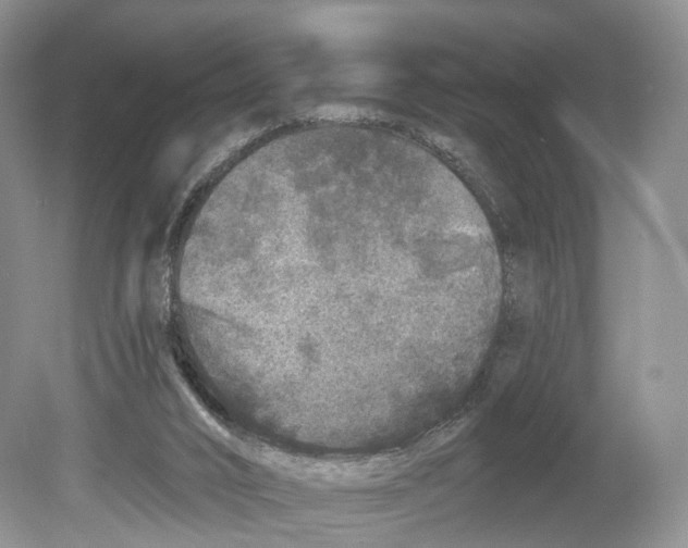 X0000078870016200612111725