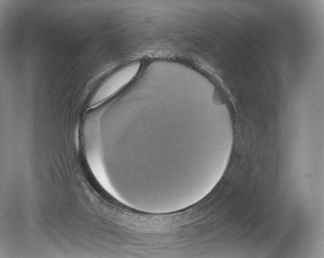 X0000078870019200612111725