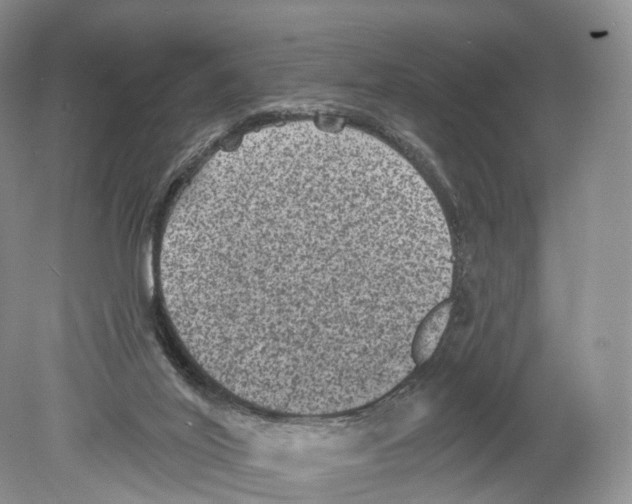 X0000078870020200612111725