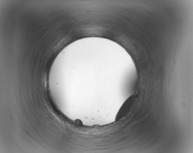 X0000078870021200612111725