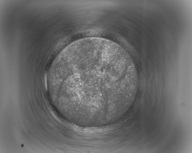 X0000078870022200612111725