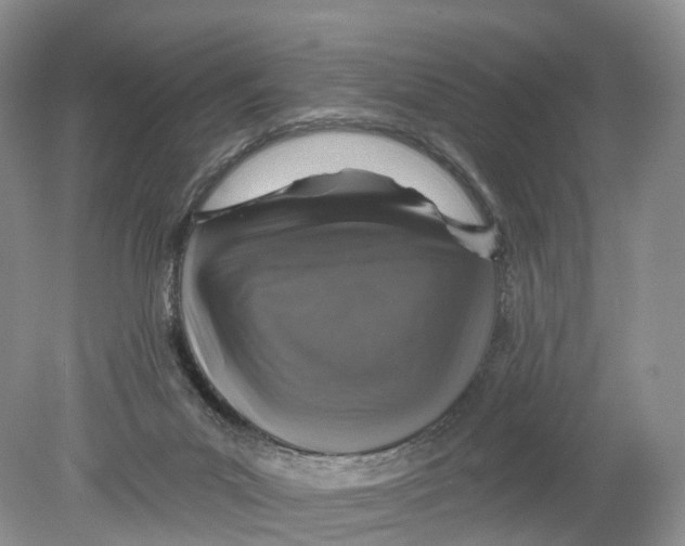 X0000078870023200612111725