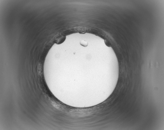 X0000078870025200612111725