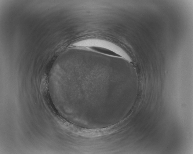 X0000078870029200612111725