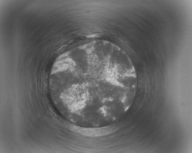 X0000078870030200612111725