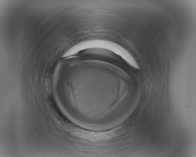 X0000078870031200612111725