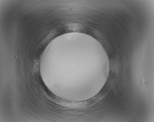 X0000078870036200612111725