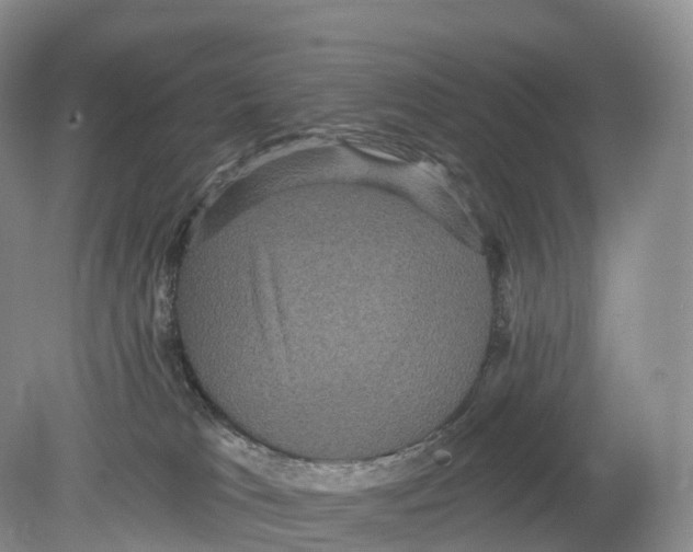 X0000078870037200612111725