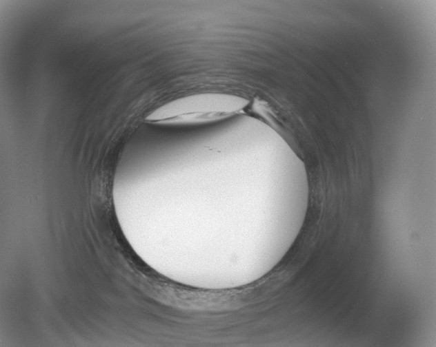 X0000078870044200612111725