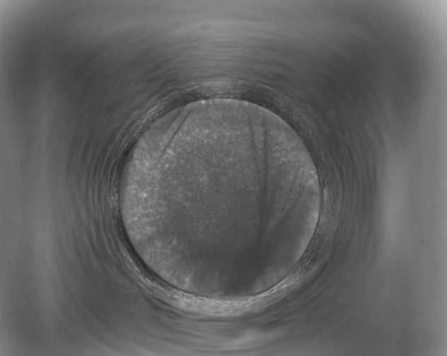 X0000078870048200612111725