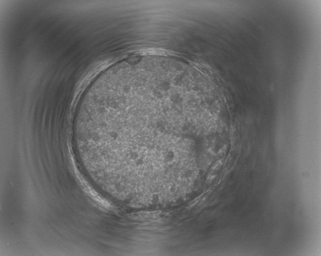 X0000078870049200612111724