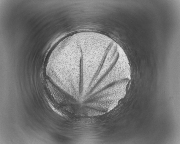 X0000078870050200612111724