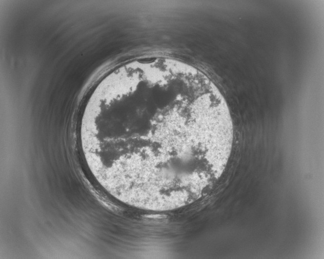 X0000078870053200612111724