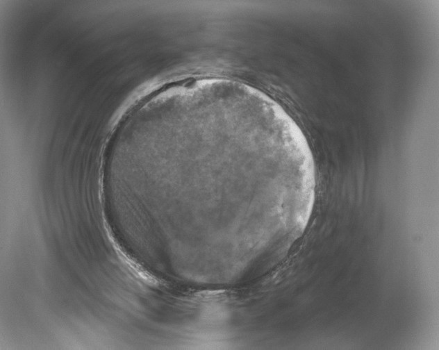 X0000078870054200612111724