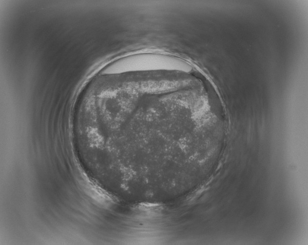 X0000078870055200612111724