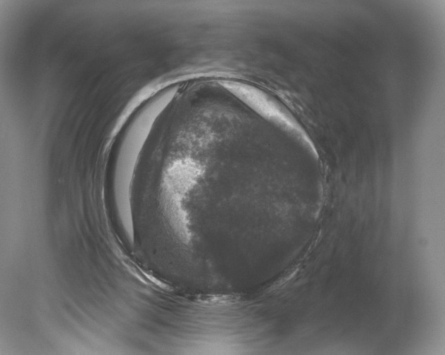 X0000078870056200612111724