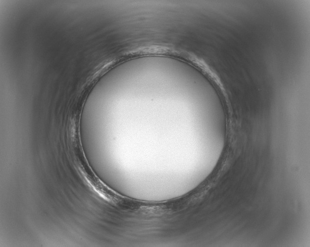 X0000078870057200612111724