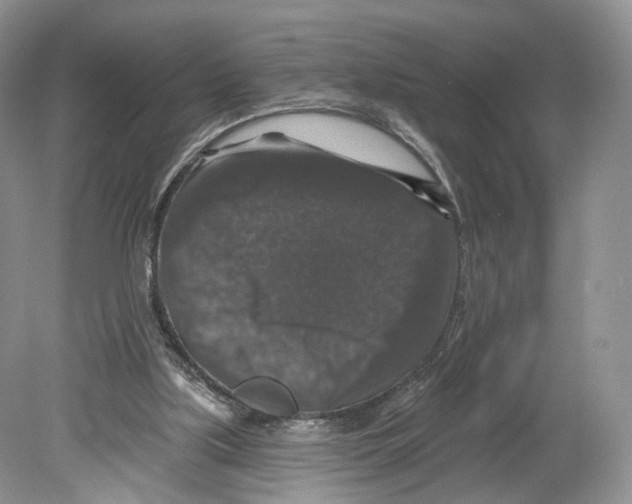 X0000078870059200612111724