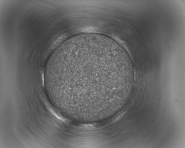 X0000078870061200612111724