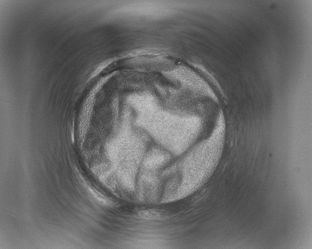 X0000078870062200612111724