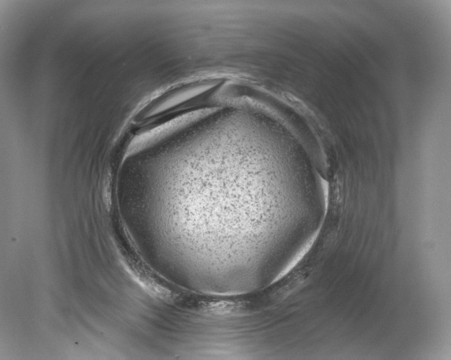 X0000078870064200612111724