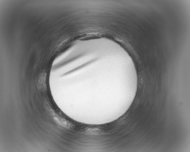 X0000078870066200612111724