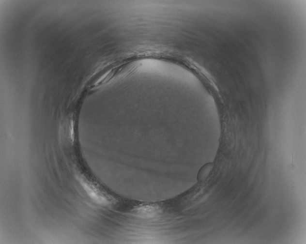 X0000078870067200612111724