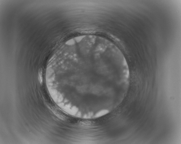 X0000078870069200612111724