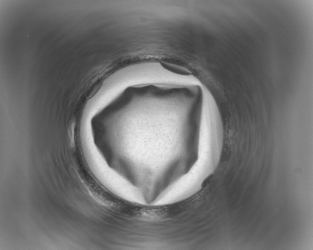 X0000078870070200612111724